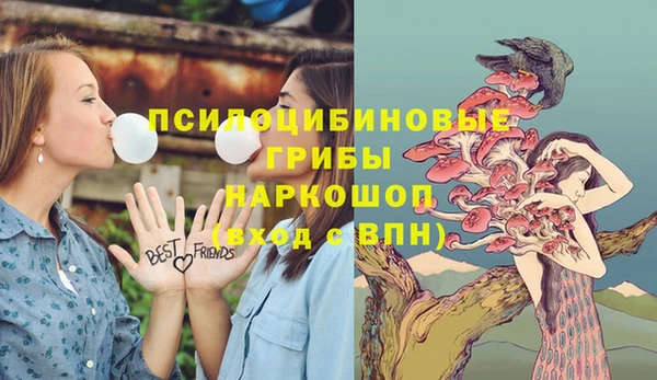 тгк Нязепетровск