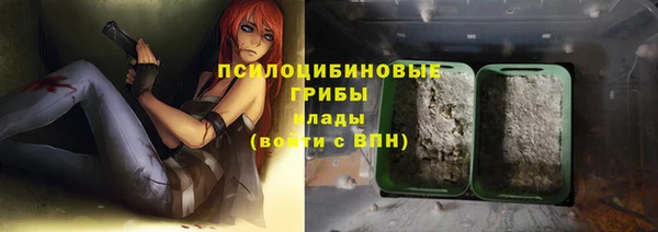 тгк Нязепетровск