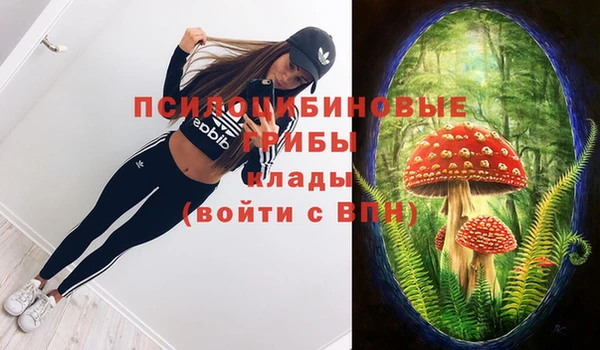 тгк Нязепетровск