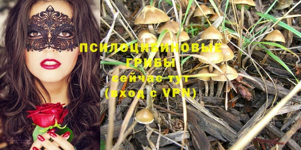 мдпв Нягань