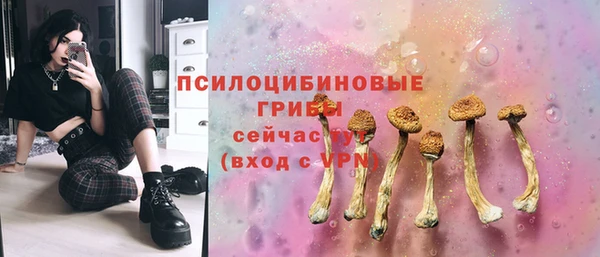 тгк Нязепетровск